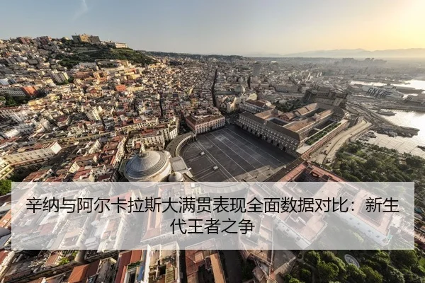 xin-na-yu-a-er-ka-la-si-da-man-guan-biao-xian-quan-mian-shu-ju-dui-bi-xin-sheng-dai-wang-zhe-zhi-zheng-2-252.jpg